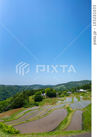 田植え後の棚田の風景イメージ【岡山県美咲町】 田植え後の棚田の風景イメージ【岡山県美咲町】 103281035