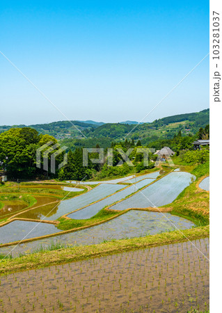 田植え後の棚田の風景イメージ【岡山県美咲町】 田植え後の棚田の風景イメージ【岡山県美咲町】 103281037