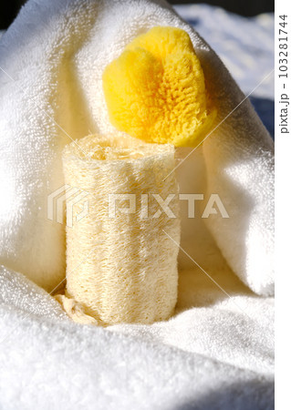 Loofah washcloth and organic sea sponge on the background of towel. Loofah washcloth and organic sea sponge on the background of towel. 103281744