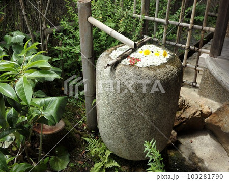 落柿舎 花いっぱいの手水鉢 落柿舎 花いっぱいの手水鉢 103281790