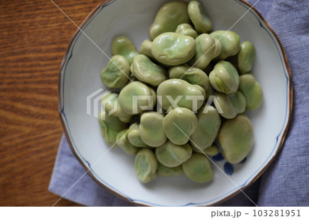 器に入れた茹でたソラマメ、そら豆、茹でソラマメ、茹で空豆 103281951