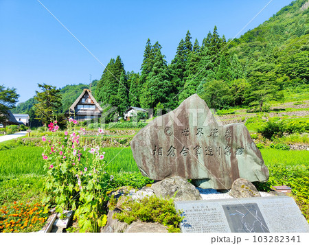 相倉合掌造り集落(夏) 相倉合掌造り集落(夏) 103282341