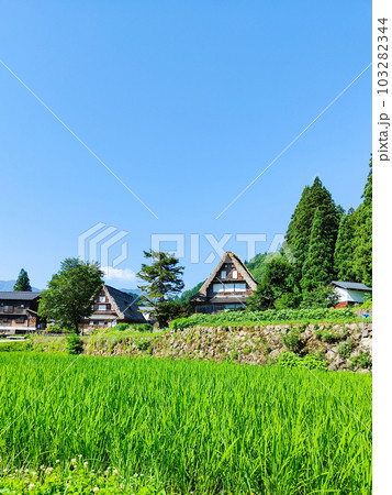 相倉合掌造り集落(夏) 相倉合掌造り集落(夏) 103282344