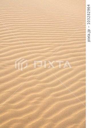Texture of sand dunes as background top view. Drone view of the Kyzylkum desert in soft evening lighting, a peaceful landscape 103282964
