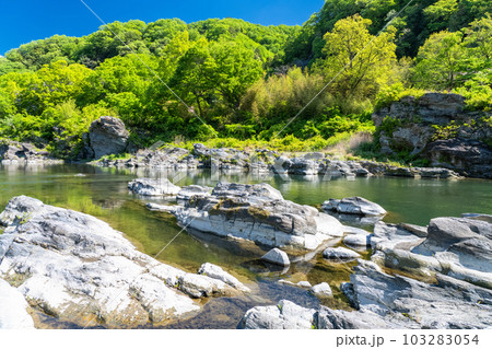 《埼玉県》初夏の長瀞・新緑の岩畳 103283054