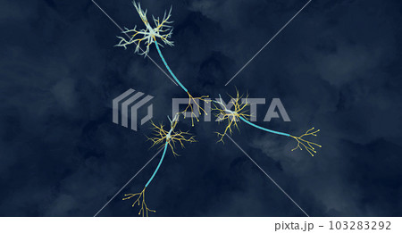 Epileptic Seizure Activity in Neurons 103283292