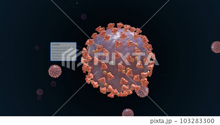 ARS CoV- 2 E Protein 3d 103283300