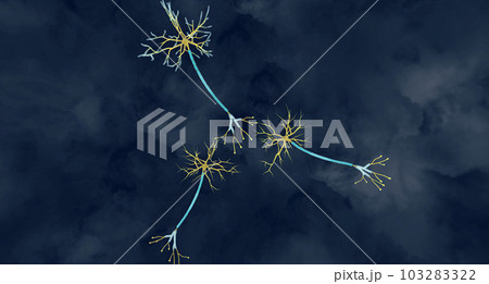 Epileptic Seizure Activity in Neurons Epileptic Seizure Activity in Neurons 103283322