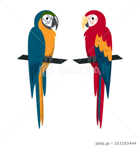 Macaw parrot icon in flat style 103283444