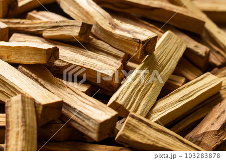 Palo santo holy sacred tree stick 103283878