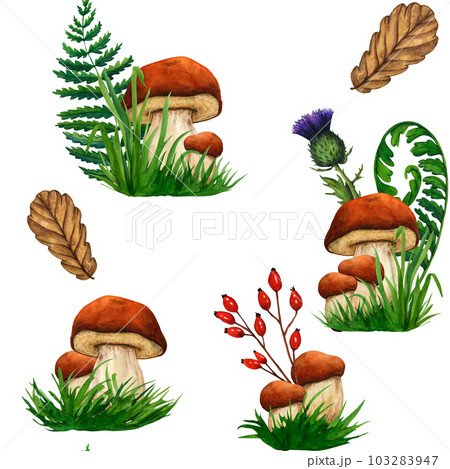 Watercolor seamless pattern wild forest mushrooms porcini. Nature forest lawn scene. Wild landscape. Isolated eco natural illustration on white background 103283947