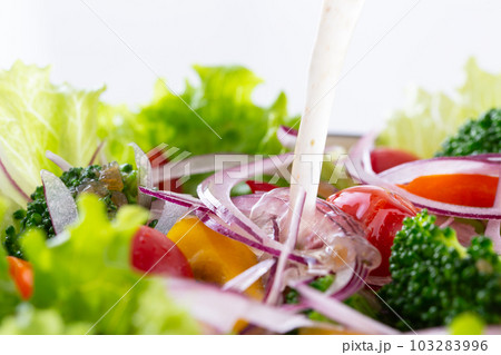 野菜サラダにイタリアンドレッシングをかける 103283996