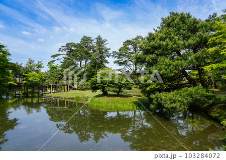 新緑の美しい奉先堂公園・五十公野御茶屋庭園（新潟県新発田市） 103284072