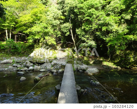 京都一周トレイルの清滝 103284120