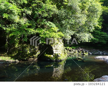 京都一周トレイルの清滝 103284121