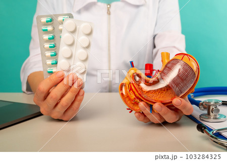 Doctor holding anatomical stomach model and pillls in his office 103284325