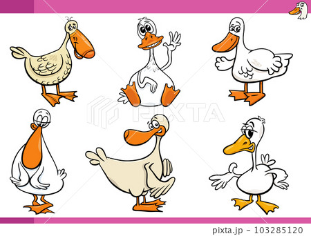cartoon ducks farm birds comic characters set cartoon ducks farm birds comic characters set 103285120