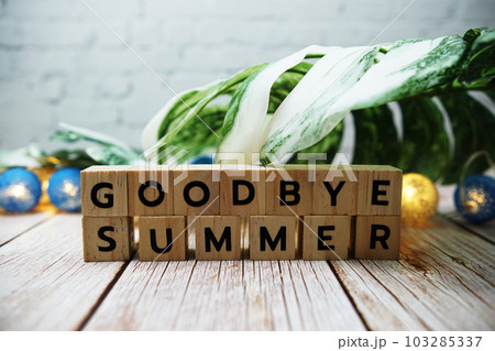 Goodbye Summer alphabet letter with Monstera leave decoration on wooden background Goodbye Summer alphabet letter with Monstera leave decoration on wooden background 103285337