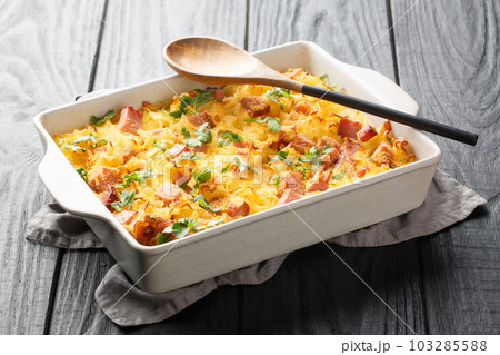 Austrian Baked Ham, Cheese, and Noodle Casserole closeup on the baking dish. Horizontal Austrian Baked Ham, Cheese, and Noodle Casserole closeup on the baking dish. Horizontal 103285588