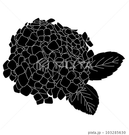 あじさいの白黒シルエットイラスト素材 103285630