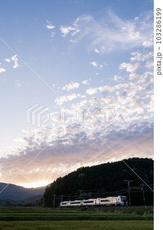 【東海道本線】新垂井線を走行する大阪行きひだ号 103286199