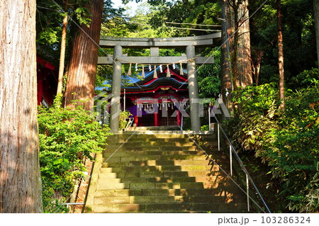 高瀧神社 千葉県市原市高滝 高瀧神社 千葉県市原市高滝 103286324