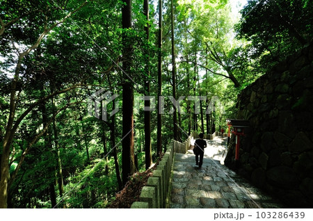 京都鞍馬寺／石畳の参道 103286439