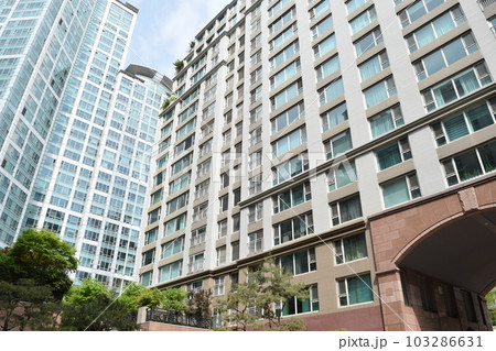 韓国 ソウル近郊の高級住宅街(城南市盆唐区亭子洞) 103286631