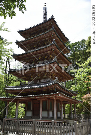 五重塔 海住山寺 五重塔 海住山寺 103286895