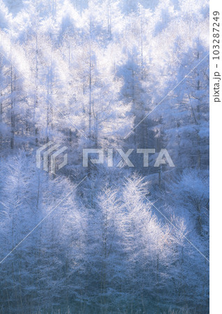 《長野県》雪景色の中牧湖・霧氷の森 103287249
