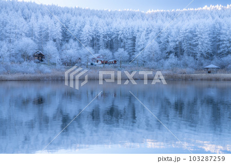 《長野県》雪景色の中牧湖・霧氷の森 《長野県》雪景色の中牧湖・霧氷の森 103287259