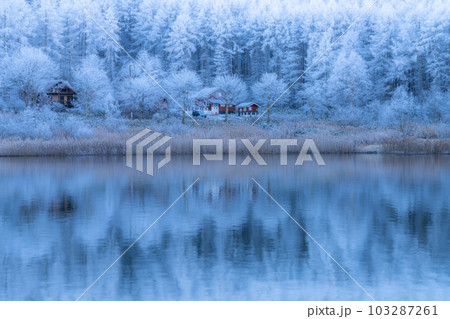 《長野県》雪景色の中牧湖・霧氷の森 《長野県》雪景色の中牧湖・霧氷の森 103287261