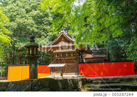 京都八瀬 新緑の頃の御陰神社 京都八瀬 新緑の頃の御陰神社 103287264