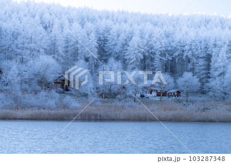 《長野県》雪景色の中牧湖・霧氷の森 《長野県》雪景色の中牧湖・霧氷の森 103287348