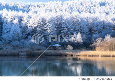 《長野県》雪景色の中牧湖・霧氷の森 103287363