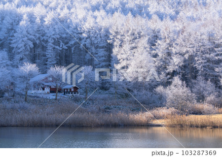《長野県》雪景色の中牧湖・霧氷の森 《長野県》雪景色の中牧湖・霧氷の森 103287369