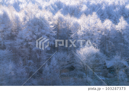 《長野県》雪景色の中牧湖・霧氷の森 103287373
