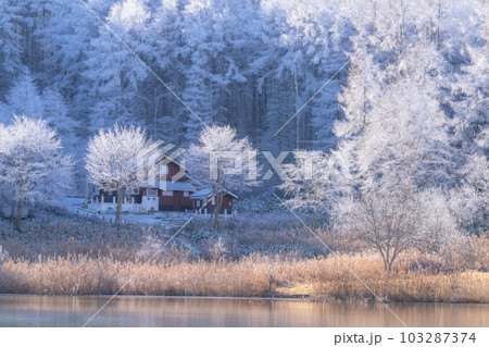 《長野県》雪景色の中牧湖・霧氷の森 《長野県》雪景色の中牧湖・霧氷の森 103287374