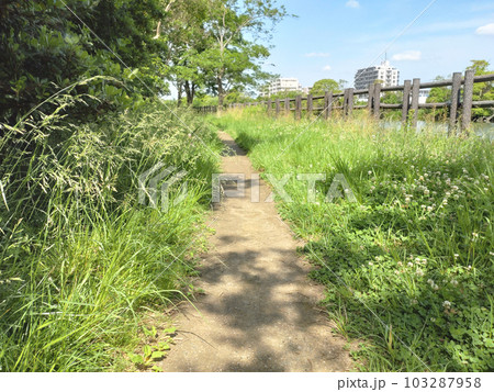 公園の細道 砂利 住宅景観 背景 103287958