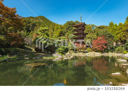 山口 瑠璃光寺 美しい五重塔 山口 瑠璃光寺 美しい五重塔 103288264