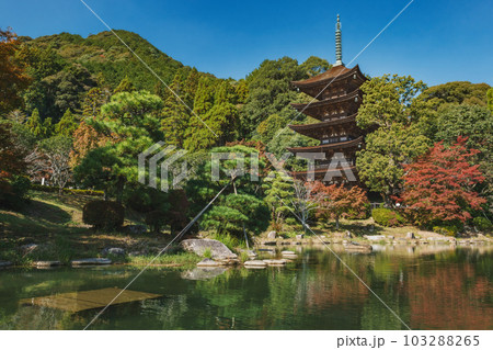山口 瑠璃光寺 美しい五重塔 103288265