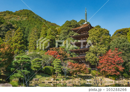 山口 瑠璃光寺 美しい五重塔 山口 瑠璃光寺 美しい五重塔 103288266