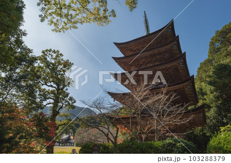 山口 瑠璃光寺 国宝五重塔 山口 瑠璃光寺 国宝五重塔 103288379