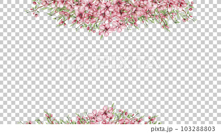 Sakura PNG Images  Free Photos, PNG Stickers, Wallpapers