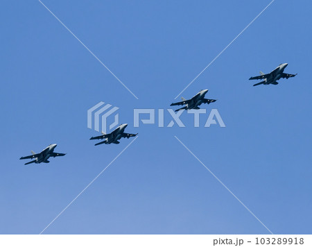 岩国基地  E/A-18G アメリカ海軍 VQA-141 編隊飛行 103289918