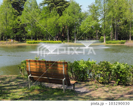 彩の森公園のベンチと噴水 彩の森公園のベンチと噴水 103290030