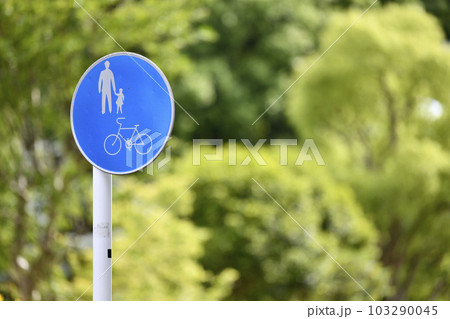 日本の横浜都市景観 新緑に映える「自転車及び歩行者専用道路」標識=横浜市内 日本の横浜都市景観 新緑に映える「自転車及び歩行者専用道路」標識=横浜市内 103290045