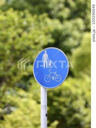 日本の横浜都市景観 新緑に映える「自転車及び歩行者専用道路」標識=横浜市内 日本の横浜都市景観 新緑に映える「自転車及び歩行者専用道路」標識=横浜市内 103290049