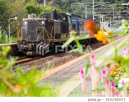 DE10 マヤ34 プッシュプル 検測車 花 DE10 マヤ34 プッシュプル 検測車 花 103290071