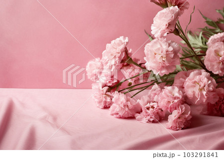 ピンクのカーネーションと背景 ピンクのカーネーションと背景 103291841